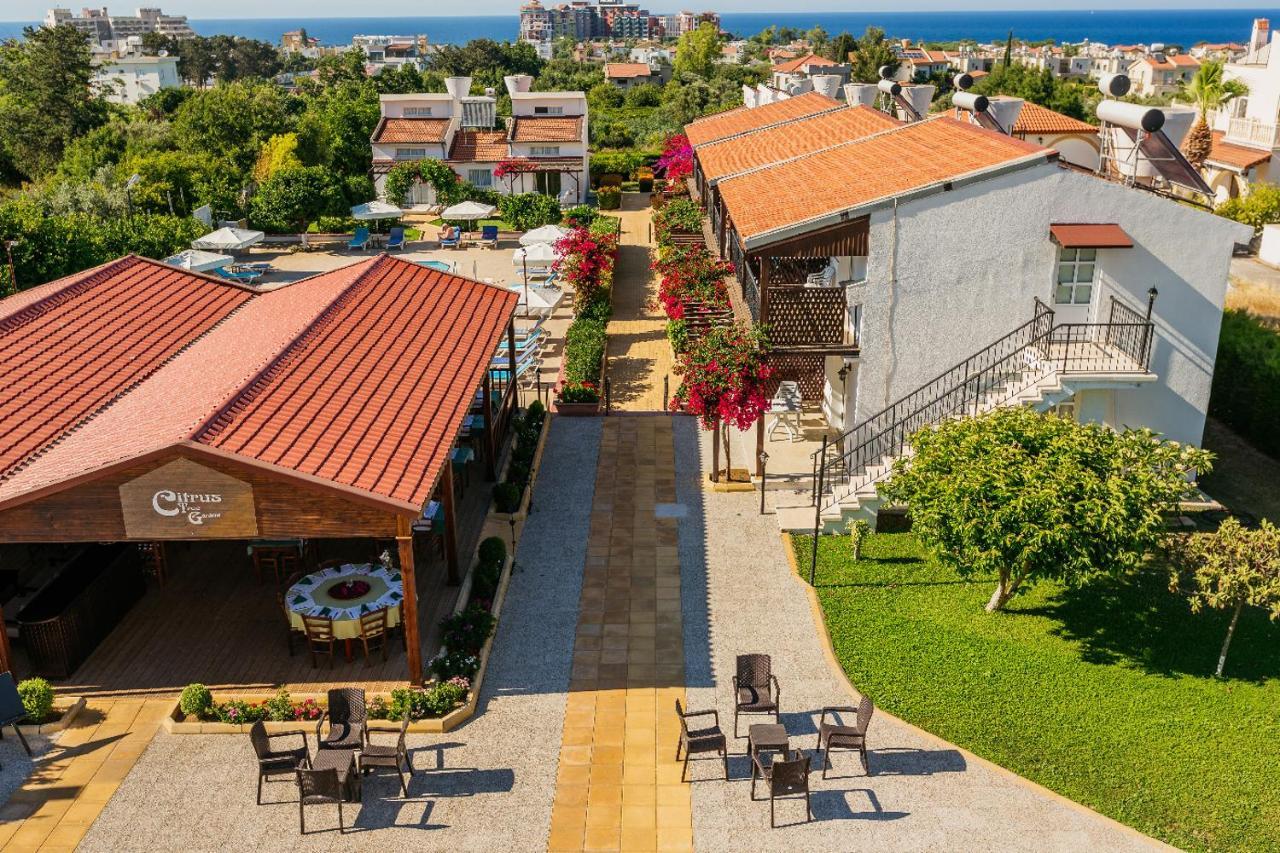 Hotel Citrus Tree Gardens Karavas  Exterior foto